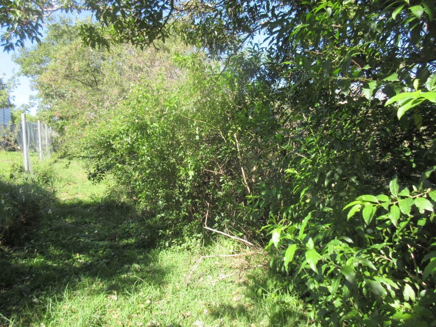 0 Bedroom Property for Sale in Bathurst Eastern Cape